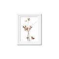 Picture of Aster Flower  _GroupedProduct_Rectangle_Portrait_Photography _GroupedProduct_Rectangle_Portrait_Framed_Matted_