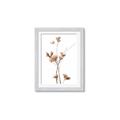 Picture of Aster Flower  _GroupedProduct_Rectangle_Portrait_Photography _GroupedProduct_Rectangle_Portrait_Framed_Matted_