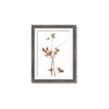 Picture of Aster Flower  _GroupedProduct_Rectangle_Portrait_Photography _GroupedProduct_Rectangle_Portrait_Framed_Matted_