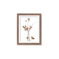 Picture of Aster Flower  _GroupedProduct_Rectangle_Portrait_Photography _GroupedProduct_Rectangle_Portrait_Framed_Matted_