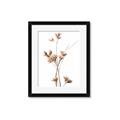 Picture of Aster Flower  _GroupedProduct_Rectangle_Portrait_Photography _GroupedProduct_Rectangle_Portrait_Framed_Matted_