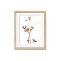 Picture of Aster Flower  _GroupedProduct_Rectangle_Portrait_Photography _GroupedProduct_Rectangle_Portrait_Framed_Matted_