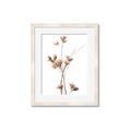 Picture of Aster Flower  _GroupedProduct_Rectangle_Portrait_Photography _GroupedProduct_Rectangle_Portrait_Framed_Matted_