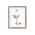 Picture of Aster Flower  _GroupedProduct_Rectangle_Portrait_Photography _GroupedProduct_Rectangle_Portrait_Framed_Matted_