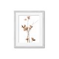 Picture of Aster Flower  _GroupedProduct_Rectangle_Portrait_Photography _GroupedProduct_Rectangle_Portrait_Framed_Matted_