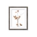 Picture of Aster Flower  _GroupedProduct_Rectangle_Portrait_Photography _GroupedProduct_Rectangle_Portrait_Framed_Matted_