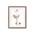 Picture of Aster Flower  _GroupedProduct_Rectangle_Portrait_Photography _GroupedProduct_Rectangle_Portrait_Framed_Matted_