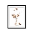Picture of Aster Flower  _GroupedProduct_Rectangle_Portrait_Photography _GroupedProduct_Rectangle_Portrait_Framed_Matted_