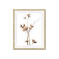 Picture of Aster Flower  _GroupedProduct_Rectangle_Portrait_Photography _GroupedProduct_Rectangle_Portrait_Framed_Matted_