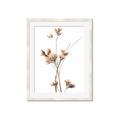 Picture of Aster Flower  _GroupedProduct_Rectangle_Portrait_Photography _GroupedProduct_Rectangle_Portrait_Framed_Matted_