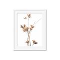 Picture of Aster Flower  _GroupedProduct_Rectangle_Portrait_Photography _GroupedProduct_Rectangle_Portrait_Framed_Matted_