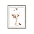 Picture of Aster Flower  _GroupedProduct_Rectangle_Portrait_Photography _GroupedProduct_Rectangle_Portrait_Framed_Matted_
