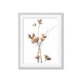 Picture of Aster Flower  _GroupedProduct_Rectangle_Portrait_Photography _GroupedProduct_Rectangle_Portrait_Framed_Matted_