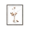 Picture of Aster Flower  _GroupedProduct_Rectangle_Portrait_Photography _GroupedProduct_Rectangle_Portrait_Framed_Matted_