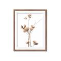 Picture of Aster Flower  _GroupedProduct_Rectangle_Portrait_Photography _GroupedProduct_Rectangle_Portrait_Framed_Matted_