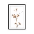 Picture of Aster Flower  _GroupedProduct_Rectangle_Portrait_Photography _GroupedProduct_Rectangle_Portrait_Framed_Matted_