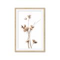 Picture of Aster Flower  _GroupedProduct_Rectangle_Portrait_Photography _GroupedProduct_Rectangle_Portrait_Framed_Matted_