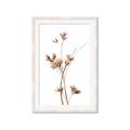 Picture of Aster Flower  _GroupedProduct_Rectangle_Portrait_Photography _GroupedProduct_Rectangle_Portrait_Framed_Matted_