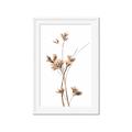 Picture of Aster Flower  _GroupedProduct_Rectangle_Portrait_Photography _GroupedProduct_Rectangle_Portrait_Framed_Matted_