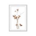 Picture of Aster Flower  _GroupedProduct_Rectangle_Portrait_Photography _GroupedProduct_Rectangle_Portrait_Framed_Matted_