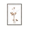 Picture of Aster Flower  _GroupedProduct_Rectangle_Portrait_Photography _GroupedProduct_Rectangle_Portrait_Framed_Matted_
