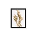 Picture of Dried Eucalyptus   _GroupedProduct_Rectangle_Portrait_Photography _GroupedProduct_Rectangle_Portrait_Framed_Matted_