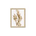 Picture of Dried Eucalyptus   _GroupedProduct_Rectangle_Portrait_Photography _GroupedProduct_Rectangle_Portrait_Framed_Matted_