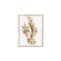 Picture of Dried Eucalyptus   _GroupedProduct_Rectangle_Portrait_Photography _GroupedProduct_Rectangle_Portrait_Framed_Matted_
