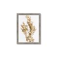Picture of Dried Eucalyptus   _GroupedProduct_Rectangle_Portrait_Photography _GroupedProduct_Rectangle_Portrait_Framed_Matted_