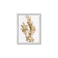 Picture of Dried Eucalyptus   _GroupedProduct_Rectangle_Portrait_Photography _GroupedProduct_Rectangle_Portrait_Framed_Matted_