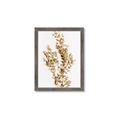 Picture of Dried Eucalyptus   _GroupedProduct_Rectangle_Portrait_Photography _GroupedProduct_Rectangle_Portrait_Framed_Matted_