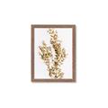 Picture of Dried Eucalyptus   _GroupedProduct_Rectangle_Portrait_Photography _GroupedProduct_Rectangle_Portrait_Framed_Matted_