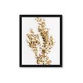 Picture of Dried Eucalyptus   _GroupedProduct_Rectangle_Portrait_Photography _GroupedProduct_Rectangle_Portrait_Framed_Matted_