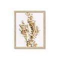 Picture of Dried Eucalyptus   _GroupedProduct_Rectangle_Portrait_Photography _GroupedProduct_Rectangle_Portrait_Framed_Matted_
