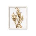 Picture of Dried Eucalyptus   _GroupedProduct_Rectangle_Portrait_Photography _GroupedProduct_Rectangle_Portrait_Framed_Matted_