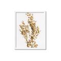 Picture of Dried Eucalyptus   _GroupedProduct_Rectangle_Portrait_Photography _GroupedProduct_Rectangle_Portrait_Framed_Matted_