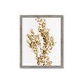 Picture of Dried Eucalyptus   _GroupedProduct_Rectangle_Portrait_Photography _GroupedProduct_Rectangle_Portrait_Framed_Matted_