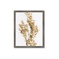 Picture of Dried Eucalyptus   _GroupedProduct_Rectangle_Portrait_Photography _GroupedProduct_Rectangle_Portrait_Framed_Matted_
