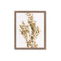 Picture of Dried Eucalyptus   _GroupedProduct_Rectangle_Portrait_Photography _GroupedProduct_Rectangle_Portrait_Framed_Matted_