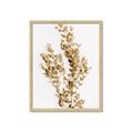 Picture of Dried Eucalyptus   _GroupedProduct_Rectangle_Portrait_Photography _GroupedProduct_Rectangle_Portrait_Framed_Matted_