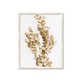 Picture of Dried Eucalyptus   _GroupedProduct_Rectangle_Portrait_Photography _GroupedProduct_Rectangle_Portrait_Framed_Matted_