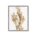 Picture of Dried Eucalyptus   _GroupedProduct_Rectangle_Portrait_Photography _GroupedProduct_Rectangle_Portrait_Framed_Matted_