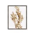 Picture of Dried Eucalyptus   _GroupedProduct_Rectangle_Portrait_Photography _GroupedProduct_Rectangle_Portrait_Framed_Matted_