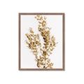 Picture of Dried Eucalyptus   _GroupedProduct_Rectangle_Portrait_Photography _GroupedProduct_Rectangle_Portrait_Framed_Matted_