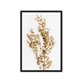 Picture of Dried Eucalyptus   _GroupedProduct_Rectangle_Portrait_Photography _GroupedProduct_Rectangle_Portrait_Framed_Matted_