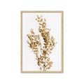 Picture of Dried Eucalyptus   _GroupedProduct_Rectangle_Portrait_Photography _GroupedProduct_Rectangle_Portrait_Framed_Matted_