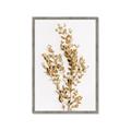 Picture of Dried Eucalyptus   _GroupedProduct_Rectangle_Portrait_Photography _GroupedProduct_Rectangle_Portrait_Framed_Matted_
