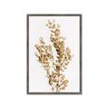 Picture of Dried Eucalyptus   _GroupedProduct_Rectangle_Portrait_Photography _GroupedProduct_Rectangle_Portrait_Framed_Matted_