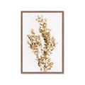 Picture of Dried Eucalyptus   _GroupedProduct_Rectangle_Portrait_Photography _GroupedProduct_Rectangle_Portrait_Framed_Matted_