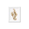 Picture of Dried Eucalyptus   _GroupedProduct_Rectangle_Portrait_Photography _GroupedProduct_Rectangle_Portrait_Framed_Matted_
